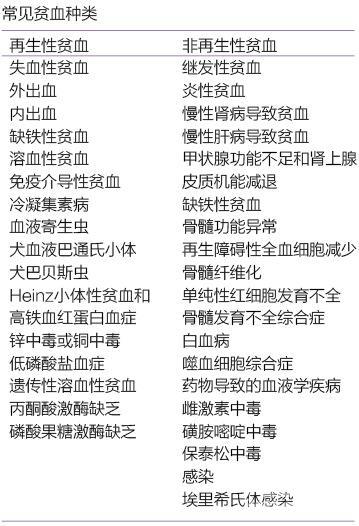 一例犬贫血病例的讨论 拓瑞检测